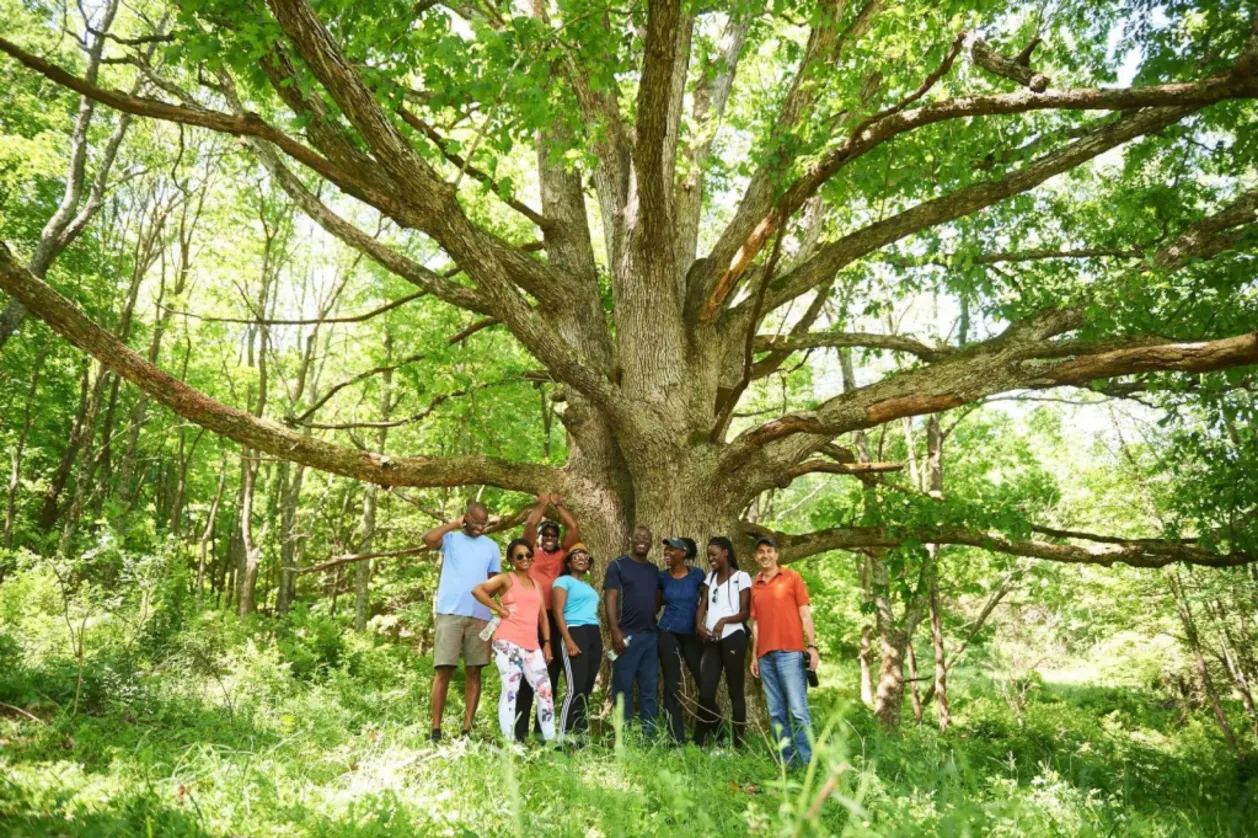 group hiking at fitness retreat at Eupepsia